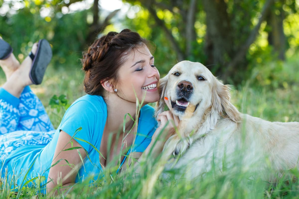 Urgencias veterinarias en Ferrol